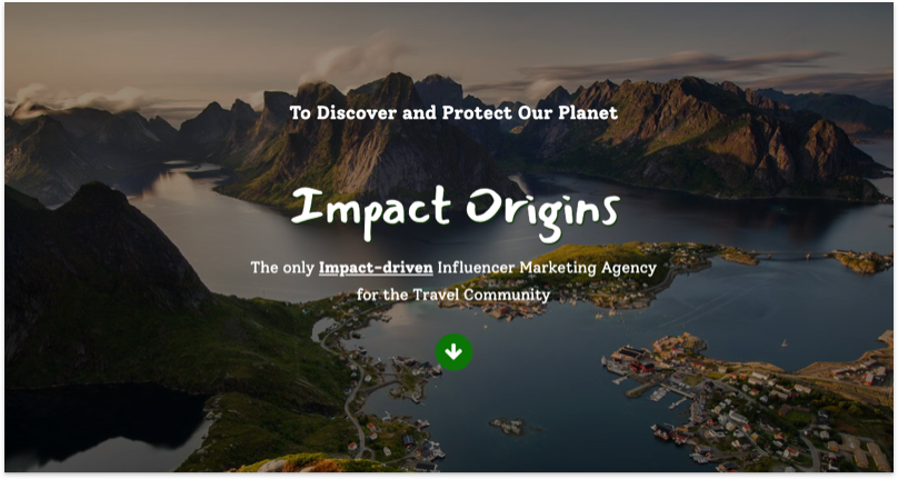 Impact Origins Carrd Website