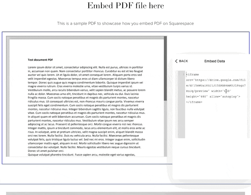 Customize the height and width of the PDF file