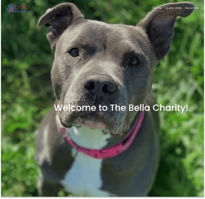 Bella Charity home page