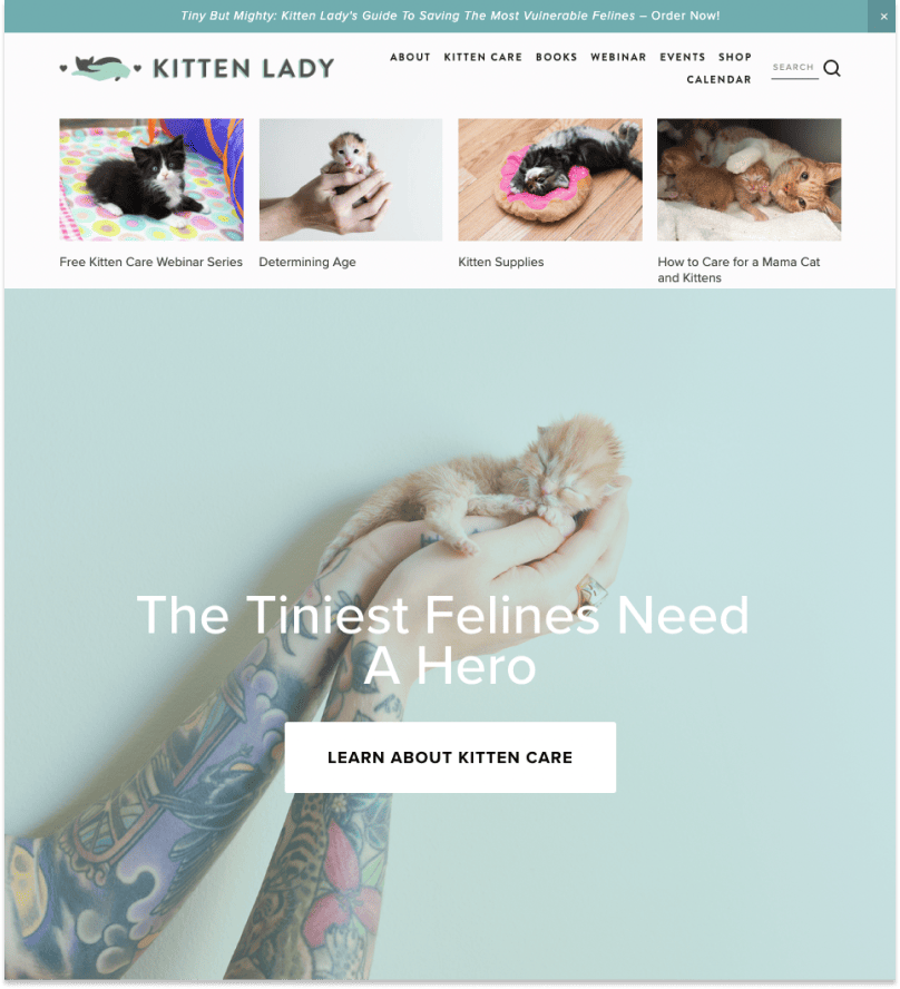 Kitten Lady home page