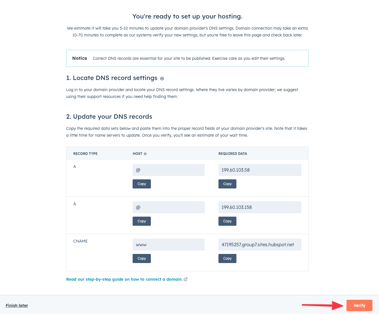 Add your DNS record and verify your domain