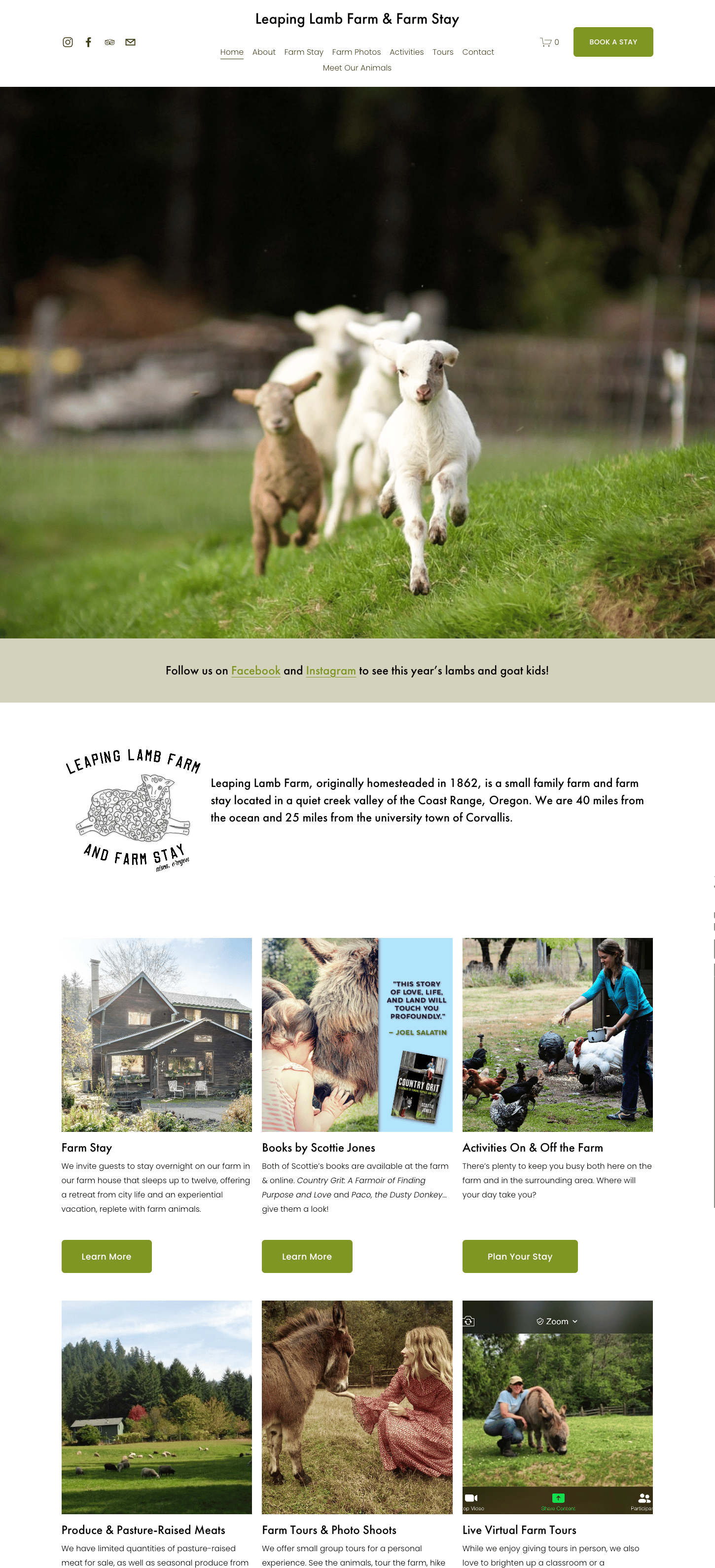 Leaping Lamb Farm home page