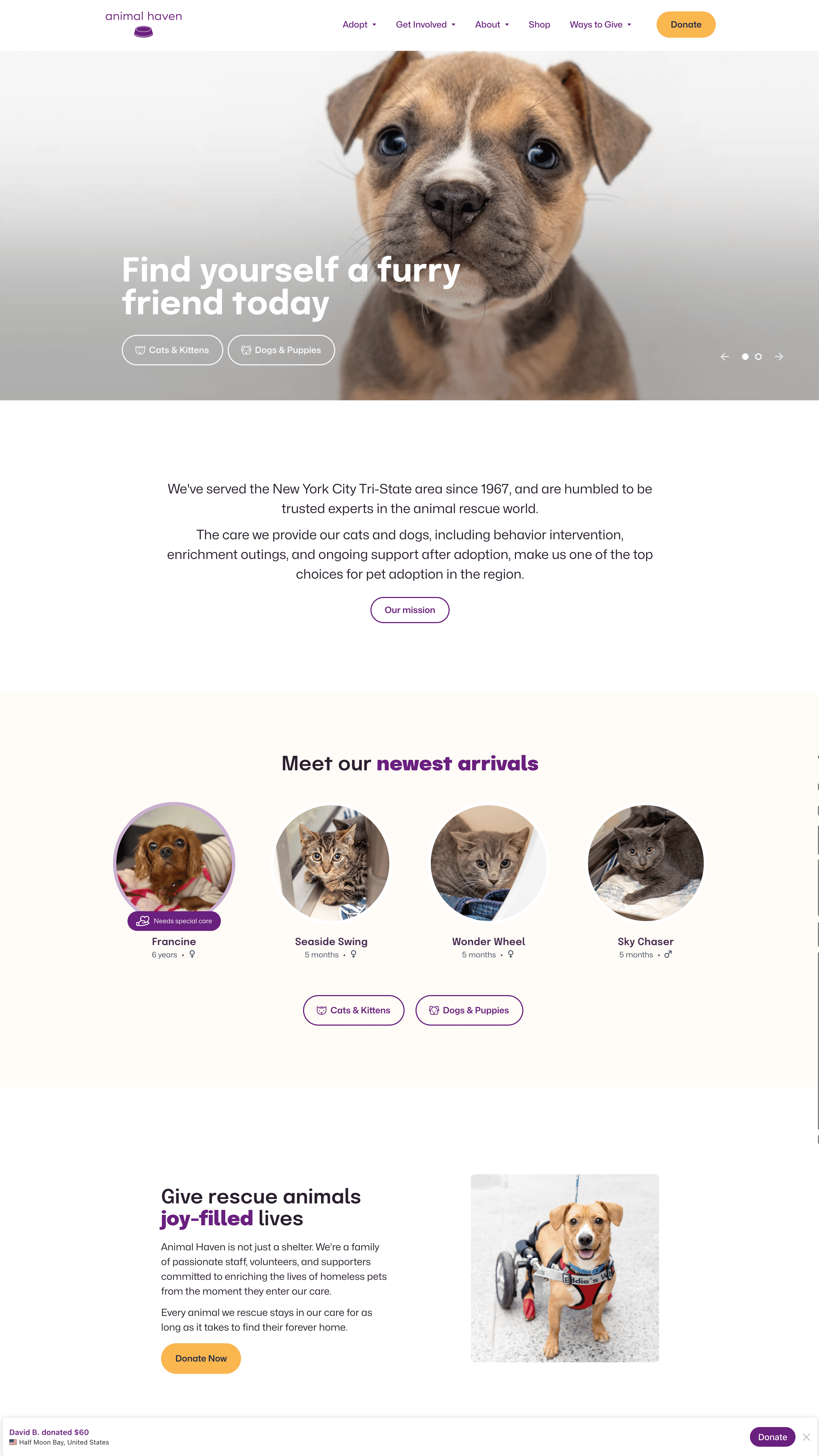 Animal Haven home page