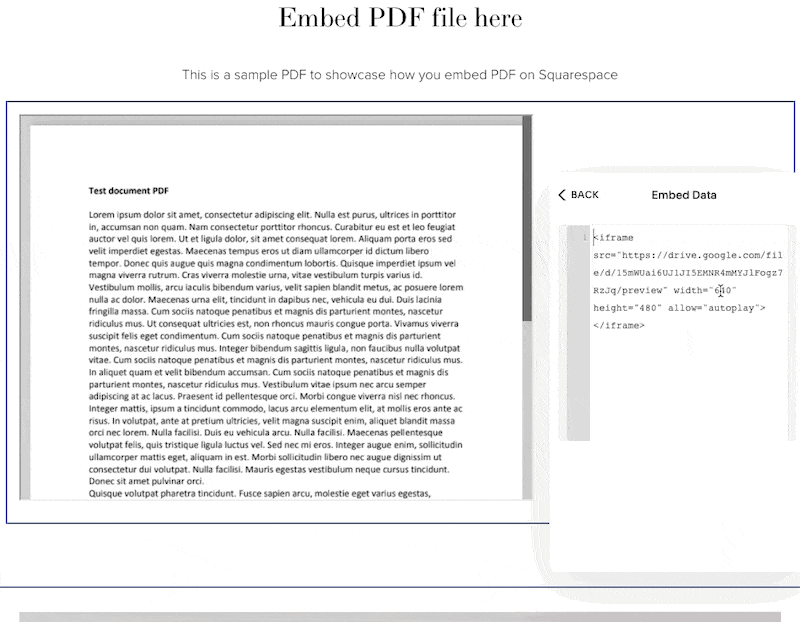 The Best Way To Embed PDF In Squarespace (Also Free)